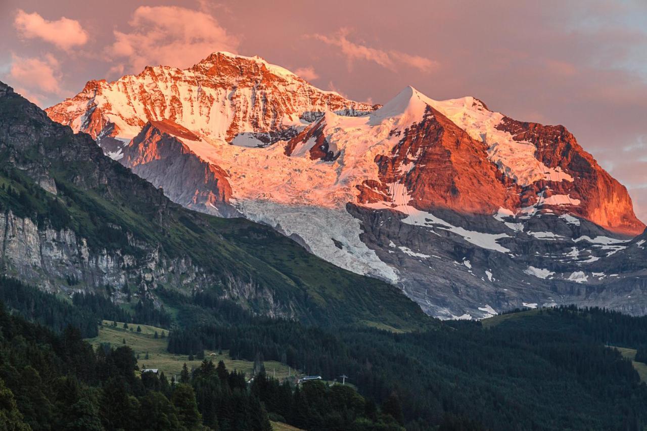 Hotel Berghaus Wengen Dış mekan fotoğraf