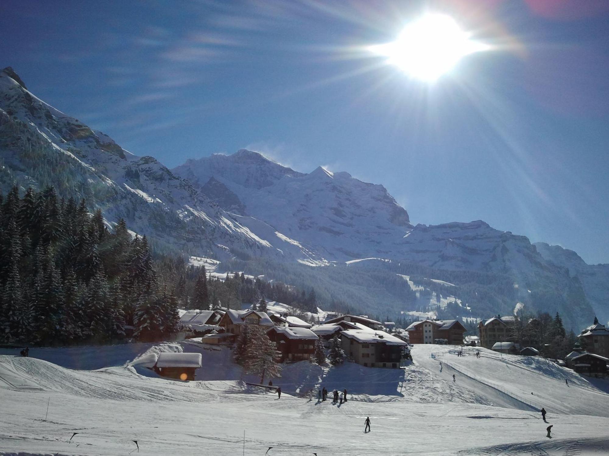 Hotel Berghaus Wengen Dış mekan fotoğraf