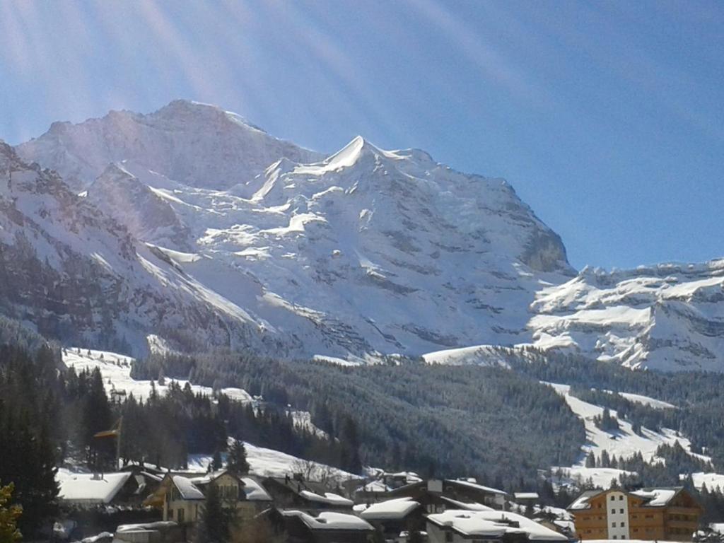 Hotel Berghaus Wengen Dış mekan fotoğraf