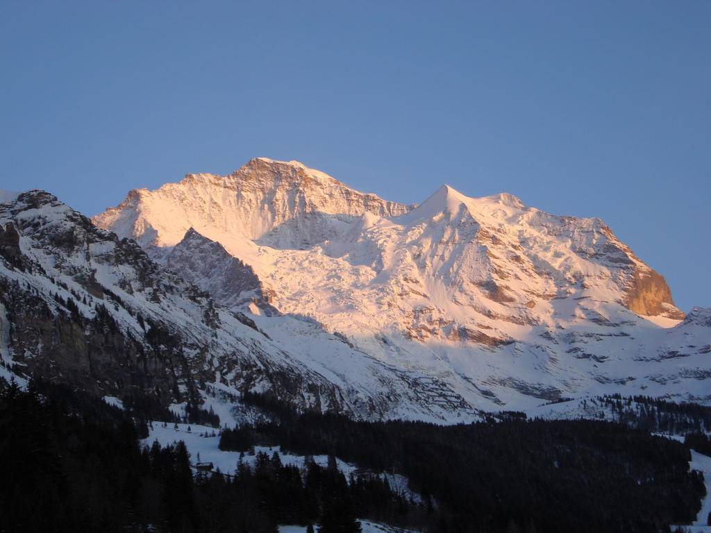 Hotel Berghaus Wengen Dış mekan fotoğraf